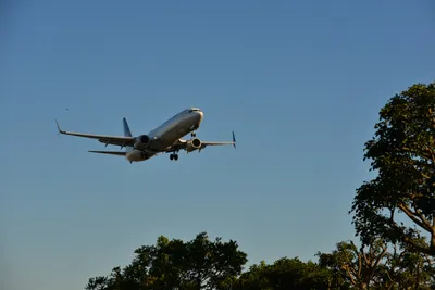 DSC_5666 (Large).JPG